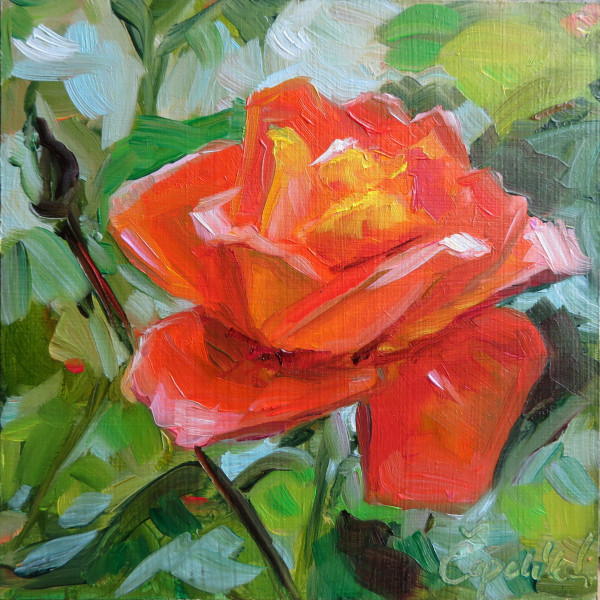 Orange rose (No 108)